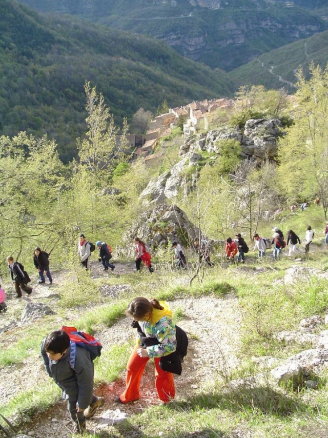 在大自然中远足 